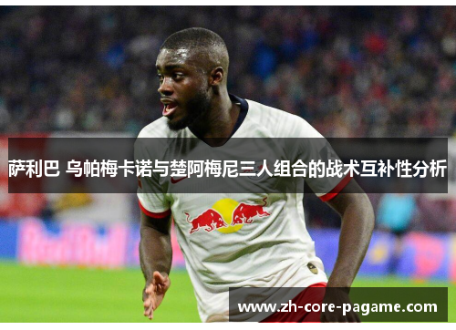 萨利巴 乌帕梅卡诺与楚阿梅尼三人组合的战术互补性分析